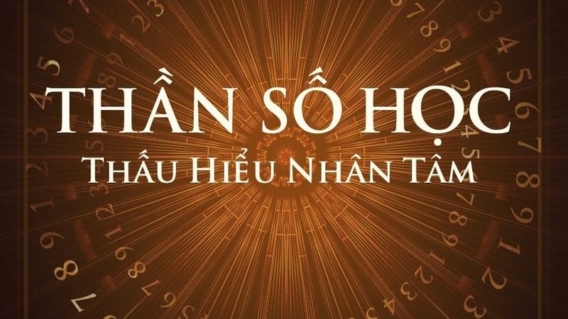 工程用800x800瓷砖：如何挑选性价比之选？**